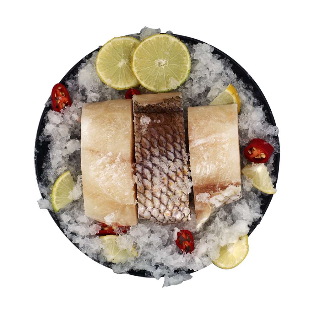 Ikan Lencam