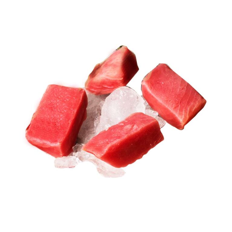 Ikan Tuna