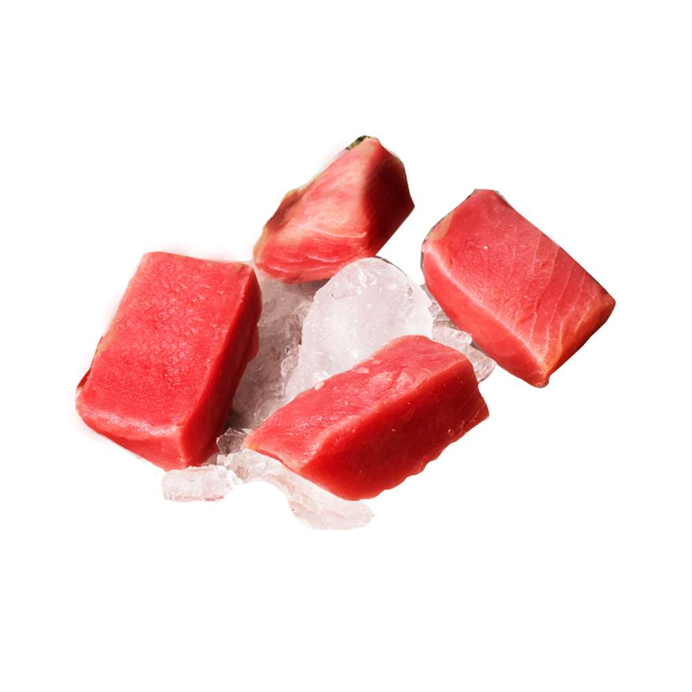 Ikan Tuna