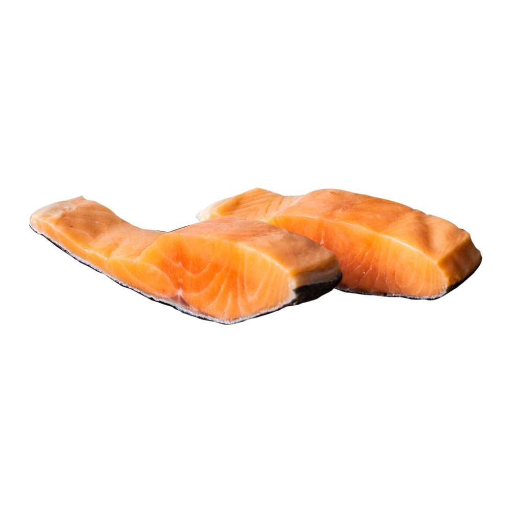 Ikan Salmon